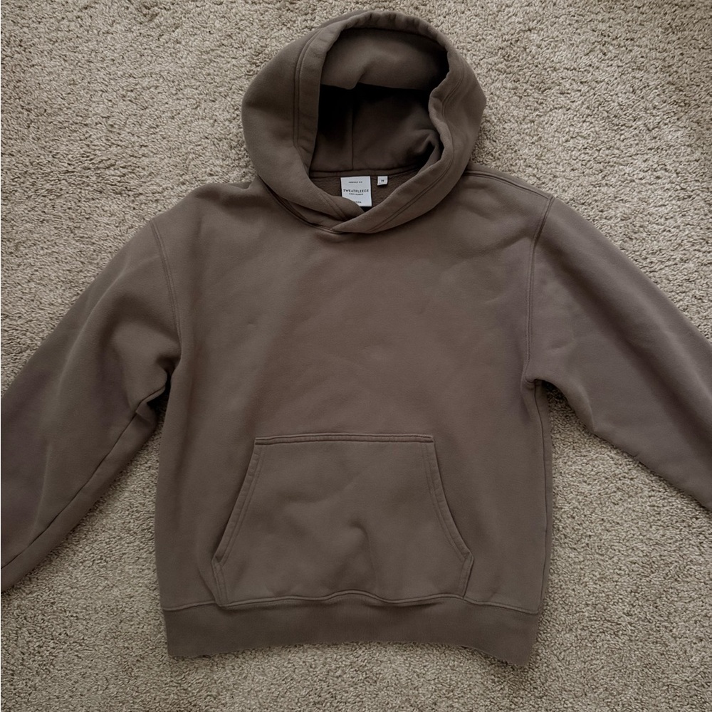 NEW - Aritzia Taupe Perfect Hoodie - Picture 2 of 4